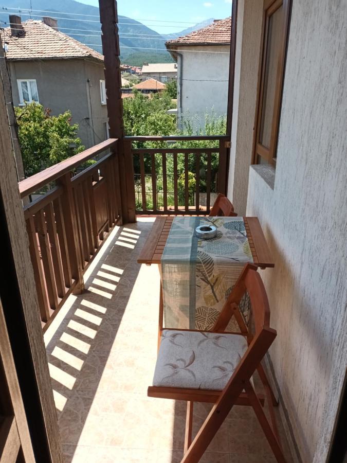 Guest Bansko