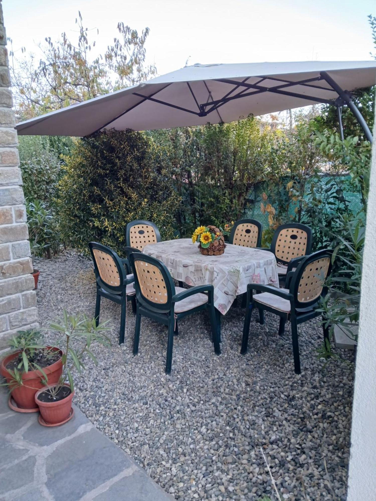 Guest Guest house *